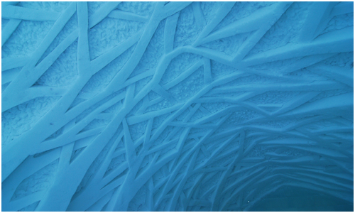 Icehotel forest of trees